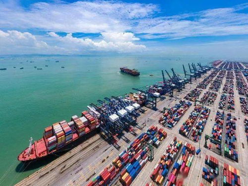 我國塑料制品進出口首現(xiàn)年內(nèi)正增長，四季度形勢仍面臨考驗