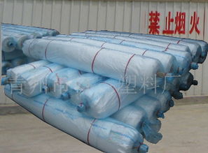 青州海飛塑料 優(yōu)質(zhì)灌漿膜供應，價格合理，產(chǎn)品圖片展示